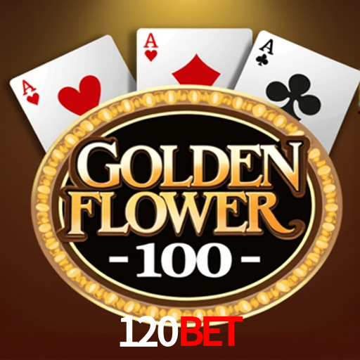 Interface Premium 120Bet